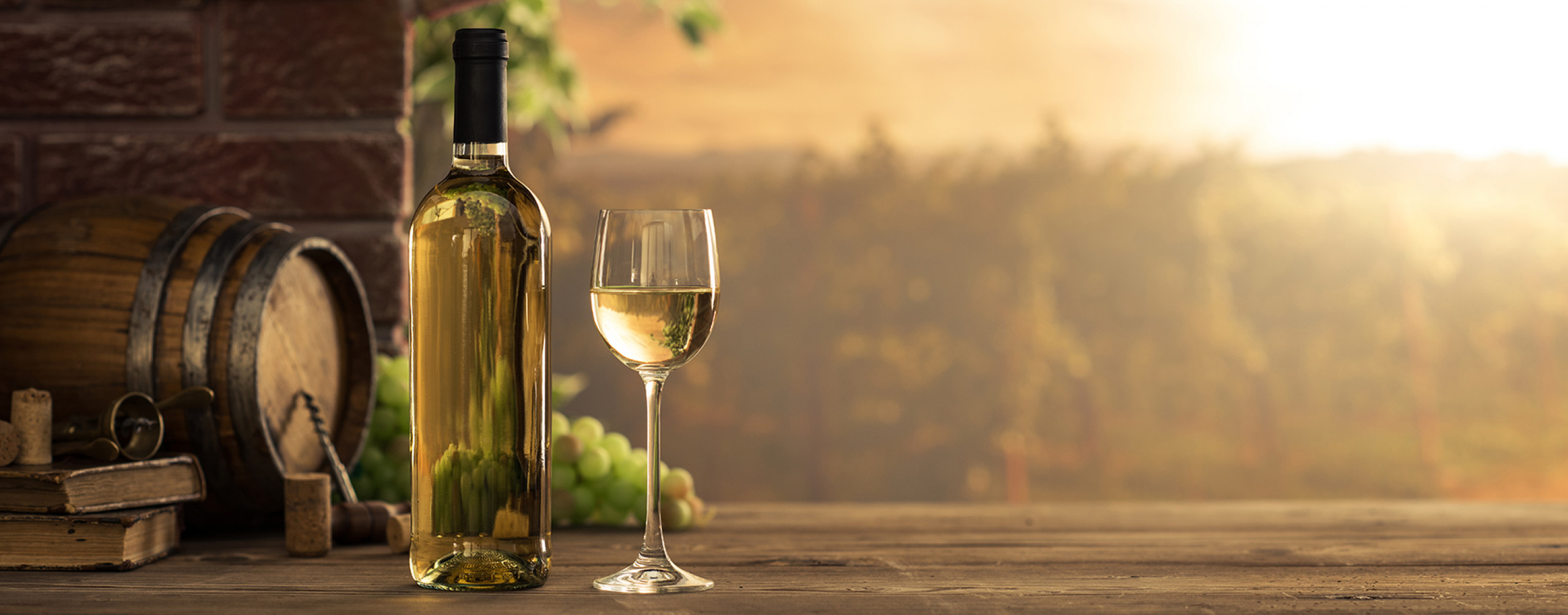 Ryze rodinné vinařství s tradicí