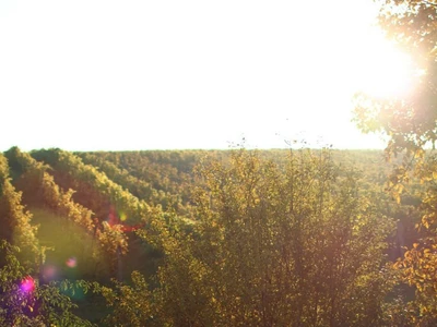 Vinařství Fůkalovi 01