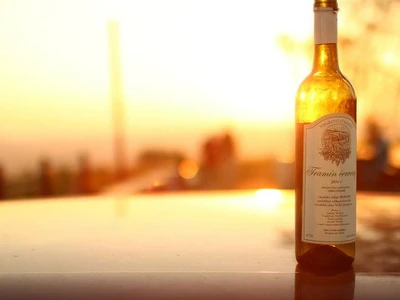 Vinařství Fůkalovi 02