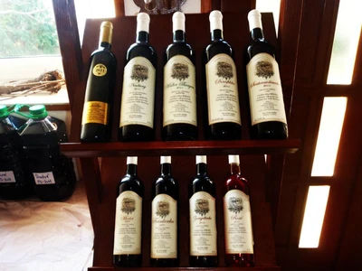 Vinařství Fůkalovi 03