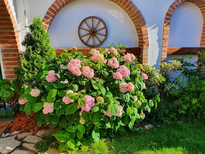 Vinařství Fůkalovi 16